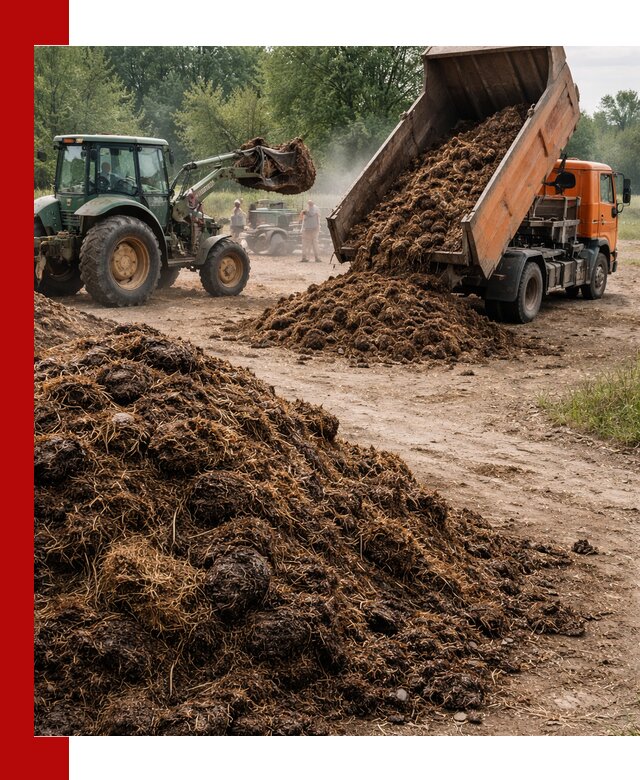 Доставка навоза самосвалами в Ржеве для сельхозпотребностей
